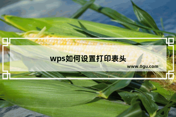 wps如何设置打印表头