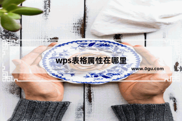 wps表格属性在哪里