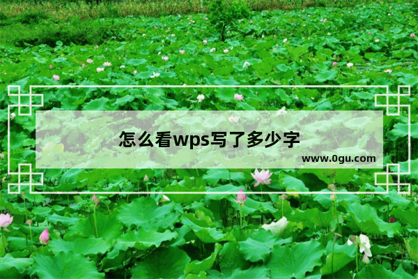 怎么看wps写了多少字