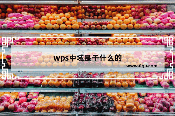 wps中域是干什么的