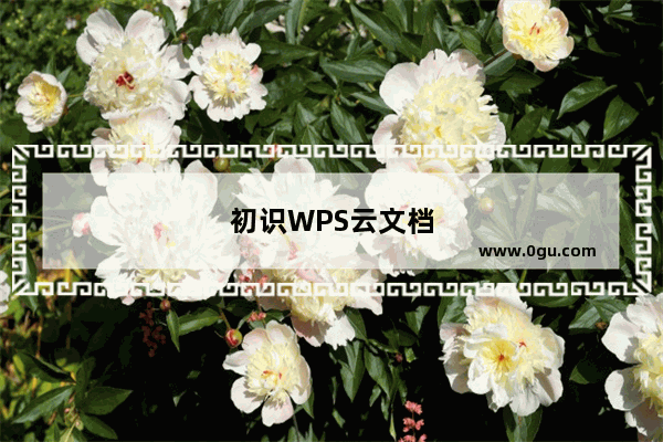 初识WPS云文档