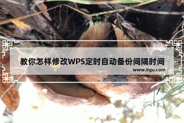 教你怎样修改WPS定时自动备份间隔时间