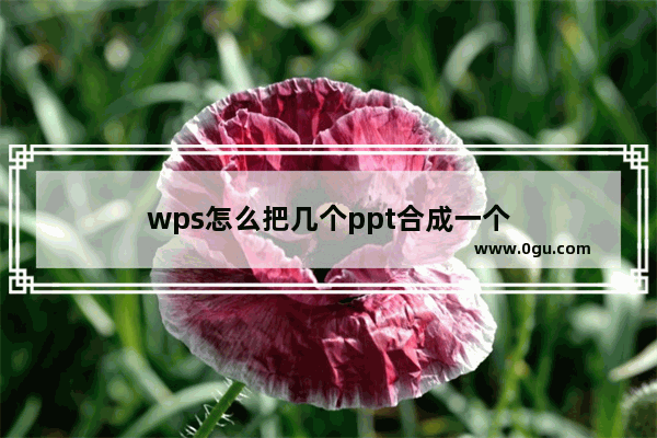 wps怎么把几个ppt合成一个