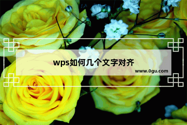 wps如何几个文字对齐