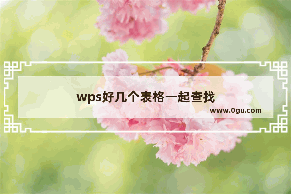 wps好几个表格一起查找