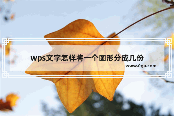 wps文字怎样将一个图形分成几份