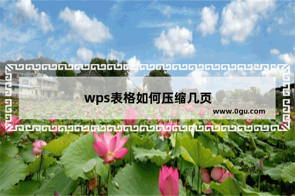 wps表格如何压缩几页