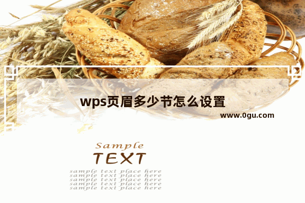 wps页眉多少节怎么设置