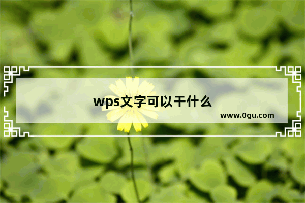 wps文字可以干什么