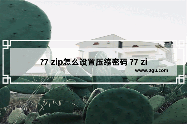 ?7 zip怎么设置压缩密码 ?7 zip给压缩包添加密码的方法