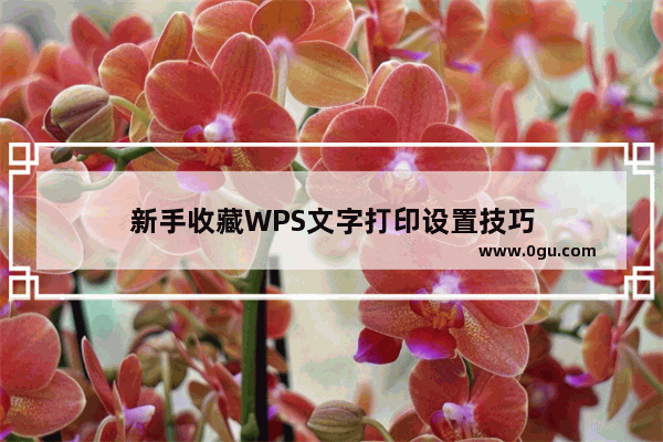 新手收藏WPS文字打印设置技巧