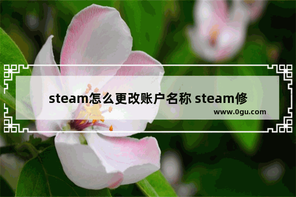 steam怎么更改账户名称 steam修改账户名称的方法