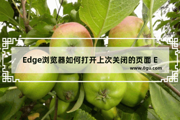 Edge浏览器如何打开上次关闭的页面 Edge浏览器打开上次关闭的页面的方法