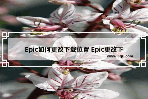 Epic如何更改下载位置 Epic更改下载位置的方法