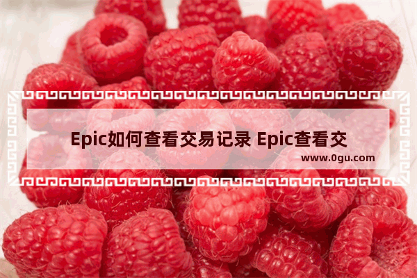 Epic如何查看交易记录 Epic查看交易记录的方法