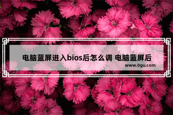 电脑蓝屏进入bios后怎么调 电脑蓝屏后进入bios后怎么办