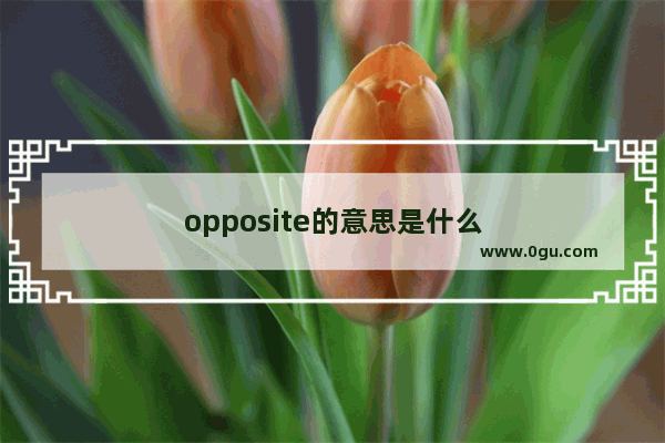 opposite的意思是什么