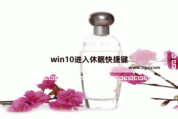 win10进入休眠快捷键