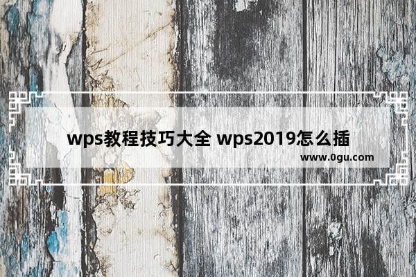 wps教程技巧大全 wps2019怎么插入雷达图