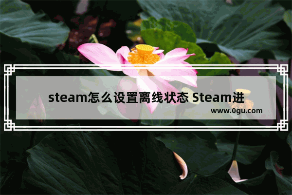 steam怎么设置离线状态 Steam进入离线模式的方法教程