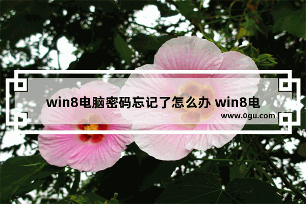 win8电脑密码忘记了怎么办 win8电脑忘记开机密码怎么办简单方法