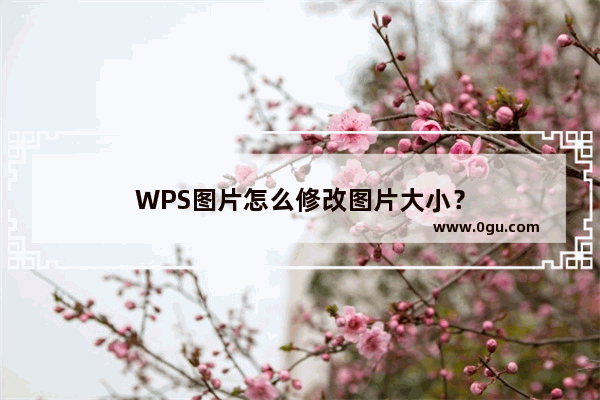 WPS图片怎么修改图片大小？