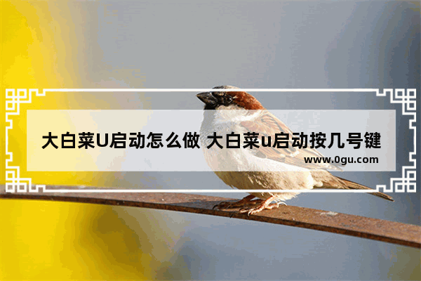 大白菜U启动怎么做 大白菜u启动按几号键