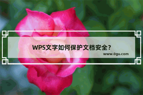 WPS文字如何保护文档安全？