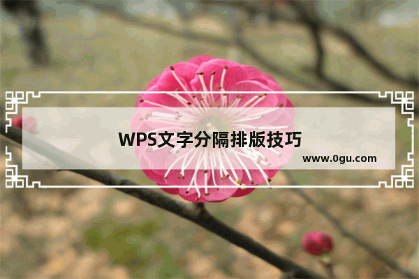 WPS文字分隔排版技巧