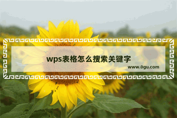 wps表格怎么搜索关键字