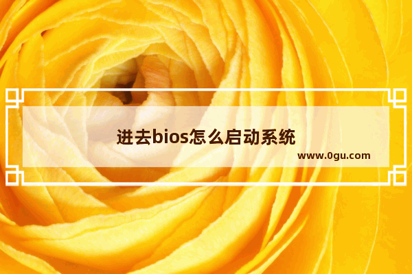 进去bios怎么启动系统