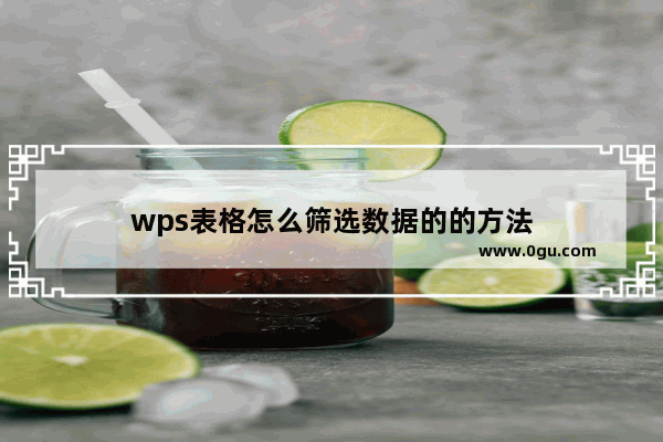 wps表格怎么筛选数据的的方法