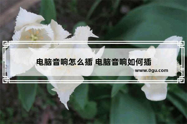 电脑音响怎么插 电脑音响如何插