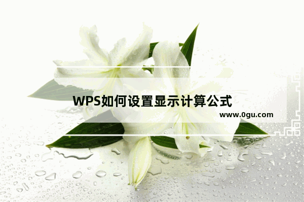 WPS如何设置显示计算公式