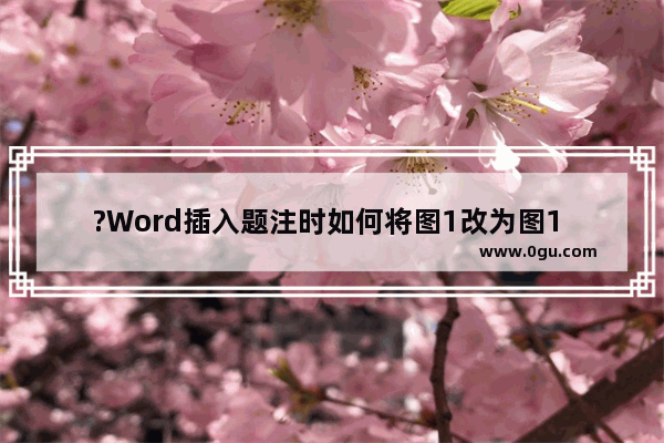 ?Word插入题注时如何将图1改为图1 1 Word文档中设置图1 1的方法教程