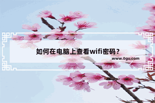 如何在电脑上查看wifi密码？