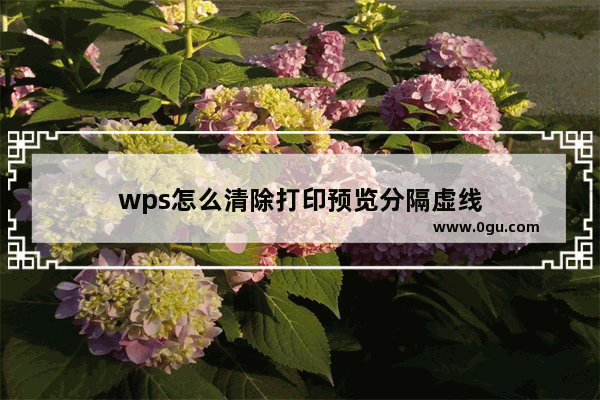 wps怎么清除打印预览分隔虚线