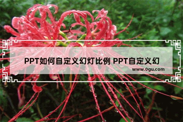 PPT如何自定义幻灯比例 PPT自定义幻灯比例的方法