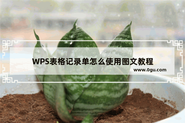 WPS表格记录单怎么使用图文教程