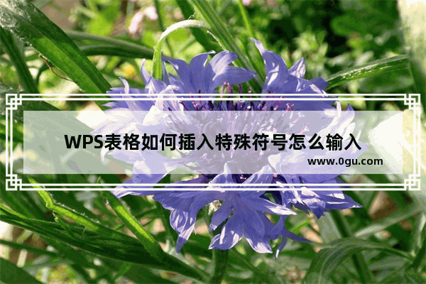 WPS表格如何插入特殊符号怎么输入