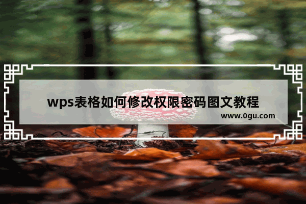 wps表格如何修改权限密码图文教程