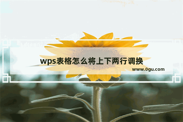 wps表格怎么将上下两行调换