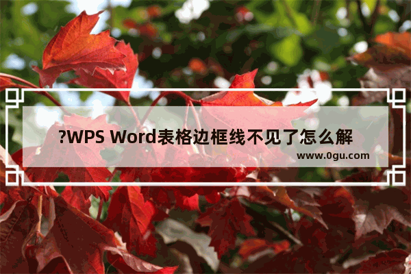 ?WPS Word表格边框线不见了怎么解决 WPS文档调出表格边框线的方法教程