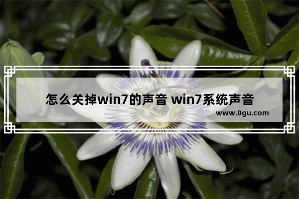 怎么关掉win7的声音 win7系统声音怎么关闭