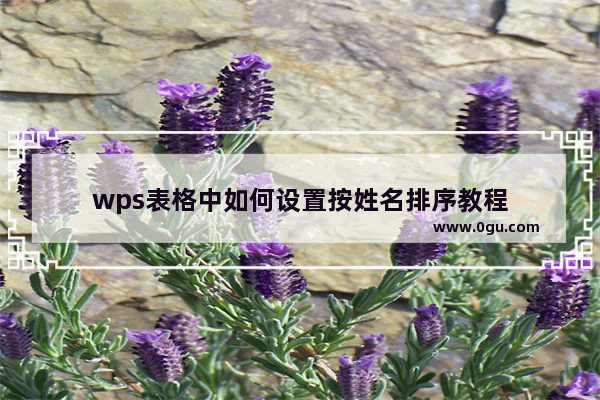 wps表格中如何设置按姓名排序教程