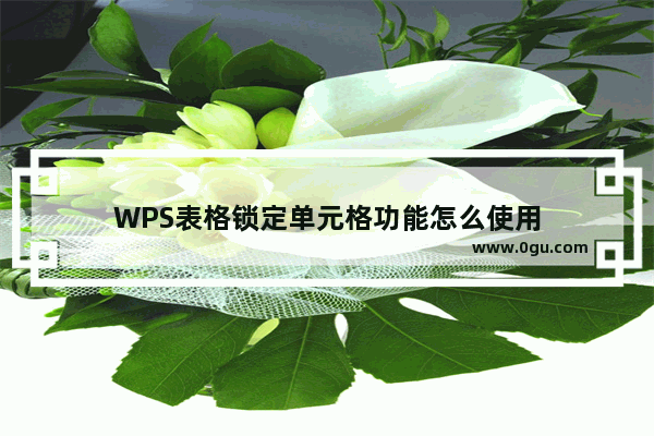 WPS表格锁定单元格功能怎么使用