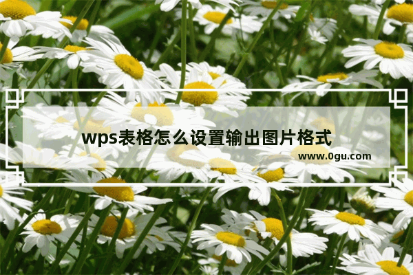 wps表格怎么设置输出图片格式