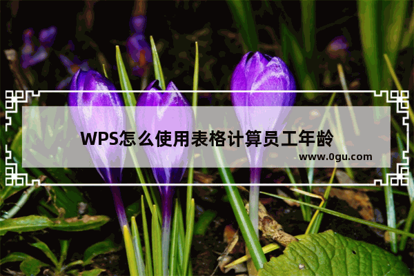 WPS怎么使用表格计算员工年龄