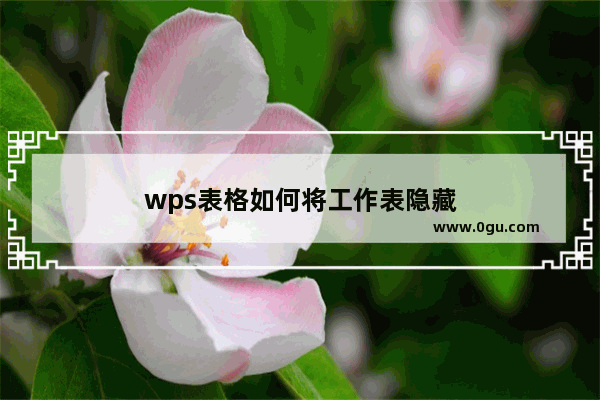 wps表格如何将工作表隐藏