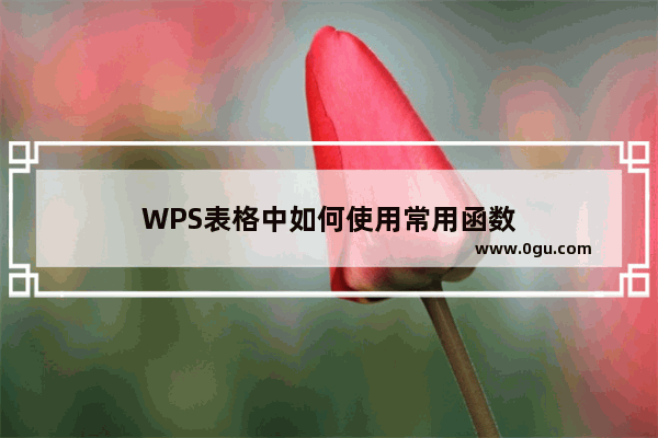 WPS表格中如何使用常用函数